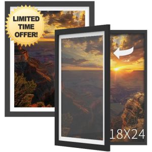 Orionstar 2 Pack 18x24 Display Poster Frame in Black