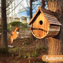 Hanging Bluebird House