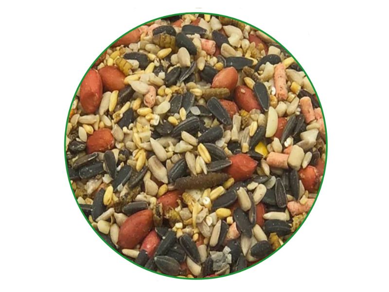 bird seed mix