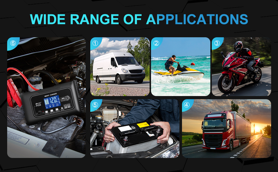 Trickle Charger and Battery Desulfator