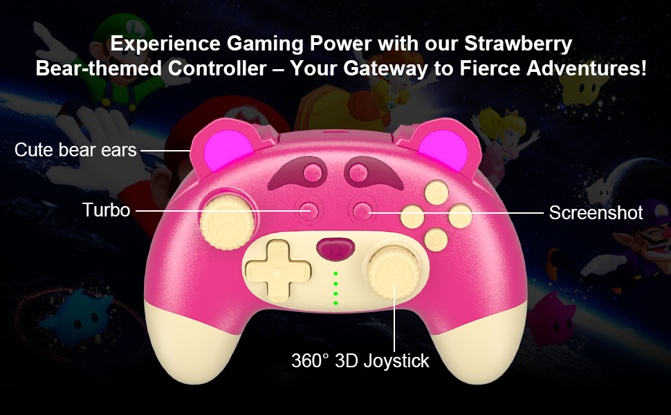 switch controller