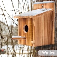 Outdoor Natural Bird Houses