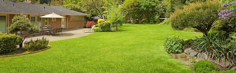 rake for gardening