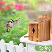 Outdoor Natural Bird Houses