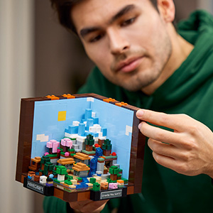 21265_MINECRAFT