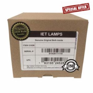 IET Lamps Genuine OEM Replacement Dual Lamps for Panasonic PT-DZ780 Projector with One Year Warranty (Power by Ushio)