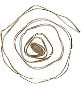 OneTigris Camping Lanyard 10ft with 19 Loops, Heavy Duty Versatile Campsite Storage Strap for Tra...