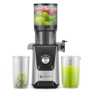 AMZCHEF Slow Masticating Juicer with 4.25" Large Feed Chute Fit Whole Fruits & Vegetables