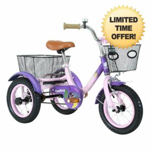 12 inch Trike