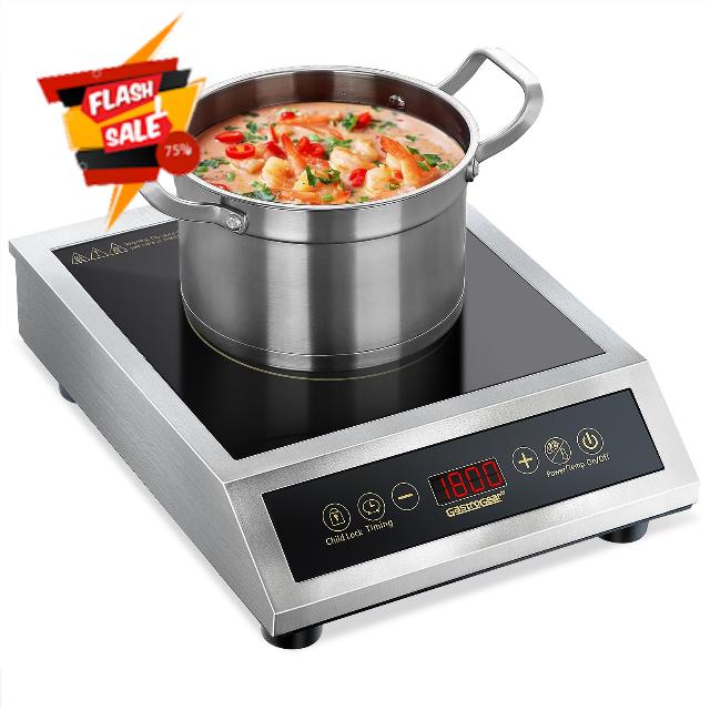 Portable Induction Cooktop Burner 1800W