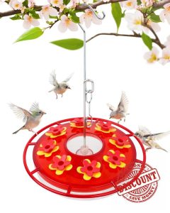 Hummingbird Feeder for Outdoors Hanging