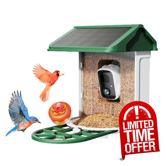 Bird Feeder Camera with Smart AI identifies Bird Species