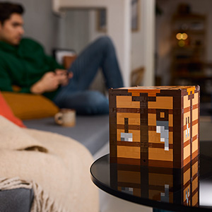 21265_MINECRAFT