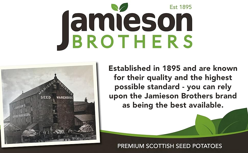 compost, compost food, compost feed, vegetable compost, Jamieson Brothers, multi purpose compost,