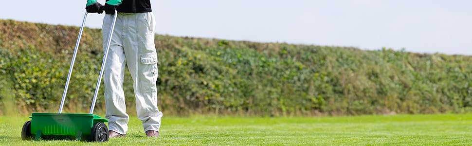 grass, grass seed, lawn, lawn seed, grass fertilizer, lawn fertilizer, grass feed, lawn feed, garden