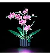 LIGHTAILING Light For Lego-40743 Christmas-Table-Decoration - Led Lighting Kit Compatible With Le...