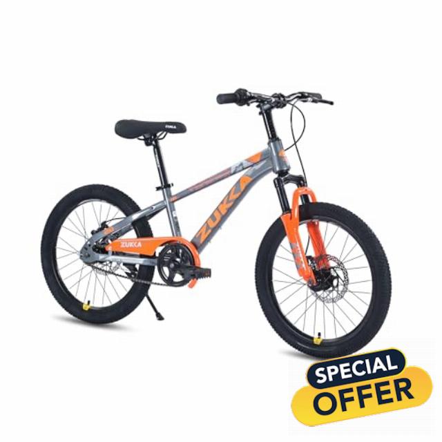 20/24 Inch Mountain Bike for Boys Ages 7-12