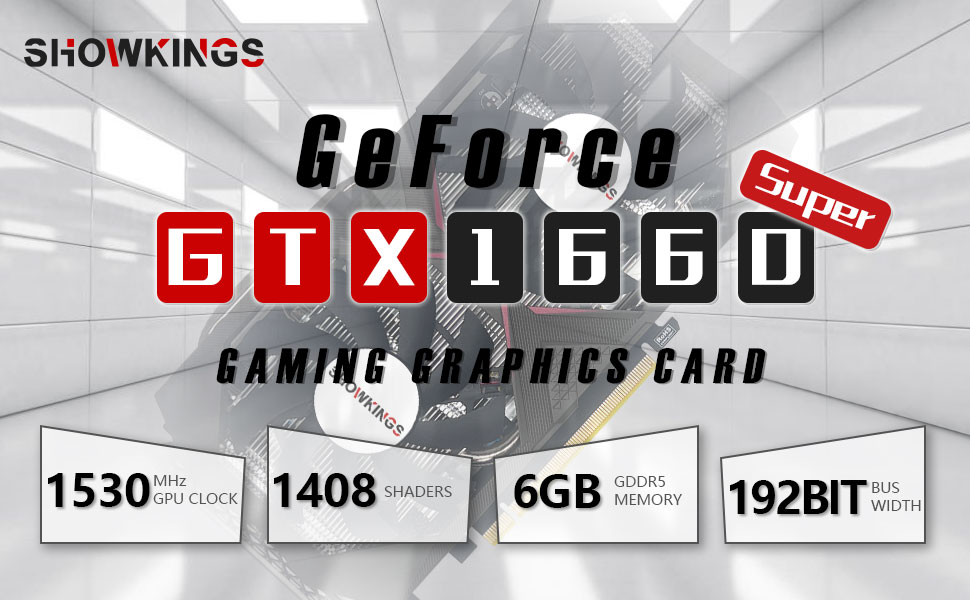 GTX 1660 Super 6GB Graphics Card