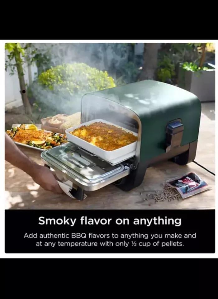 Portable Electrical Roaster Oven