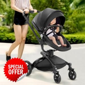 2 in 1 High Landscape Convertible Baby Stroller