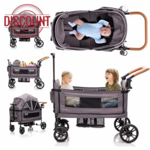 Double Stroller