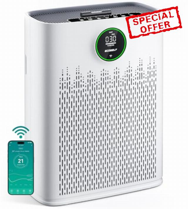 Smart Air Purifier for Home Large Rooms