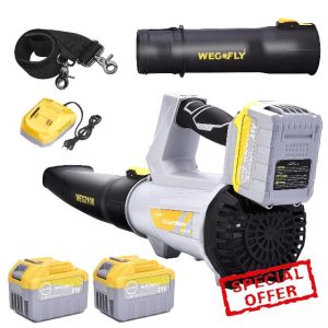 Cordless Leaf Blower