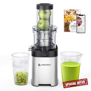 AMZCHEF Cold Press Juicer