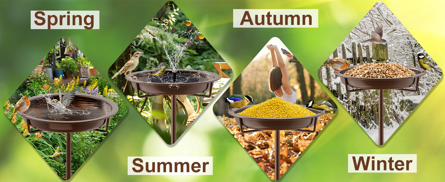 Bird Bath for Outside