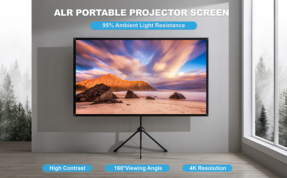 outdoor projector screen