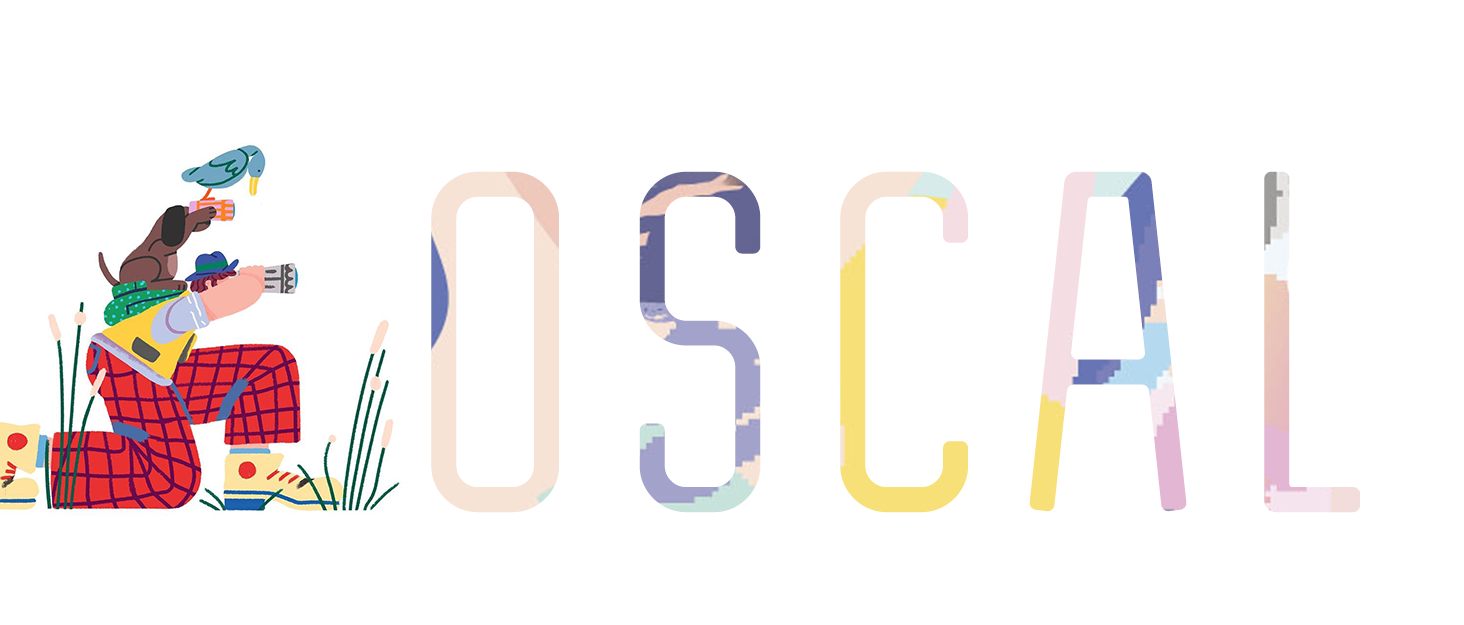Oscal C20