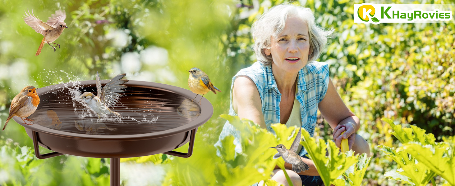 Bird Bath
