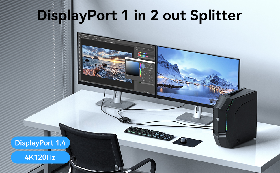 Displayport 1 in 2 out