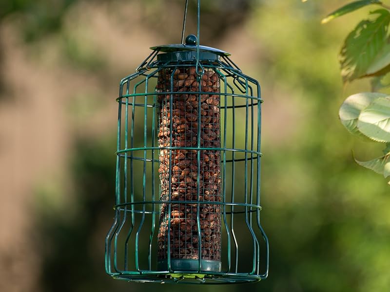 bird feeders, bird feeder, bird seed, bird food, birds, garden, garden birds, seed, feed, small bird
