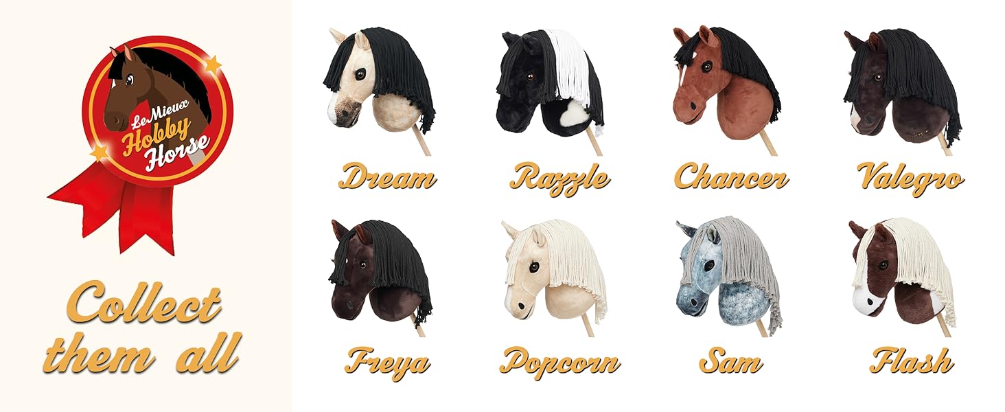 Hobby Horse Tack