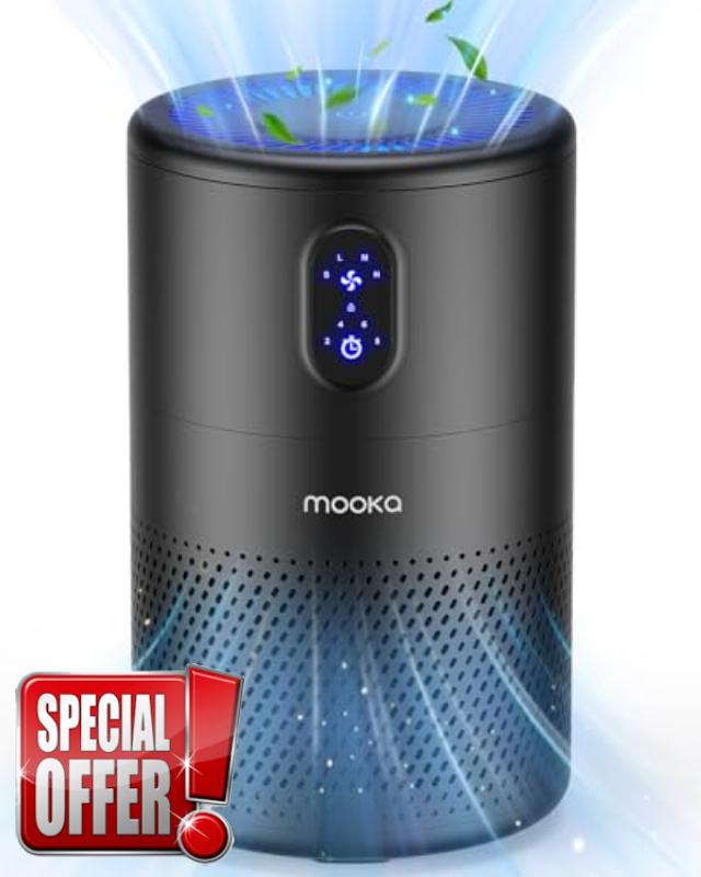 Air Purifier for Home Pets Hair in Bedroom