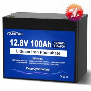 YoungTree 12V 100Ah BCI Group 24 Lithium LiFePO4 Battery with 100A BMS