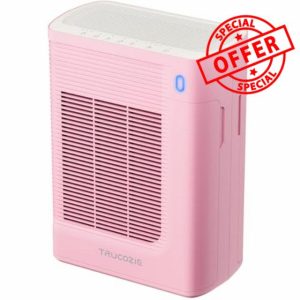 Air Purifier for Home Large Room Bedroom Up to 1937 Ft² in 1 Hr With Double-sided Air Inlet
