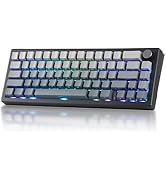 BOYI GMK67-65% Mechanical Keyboard,Gasket-Mounted HotSwap BT5.0/Type-C/2.4G Wireless South-facing...