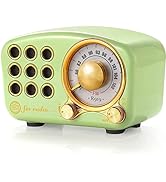 Retro Radio Bluetooth Speaker, Vintage Radio- Greadio FM Radio With Old fashioned Classic Style, ...