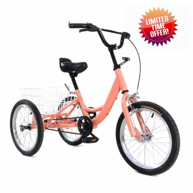 Fridgestea 16 Inch Tricycle for Kids