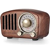 Retro Radio Bluetooth Speaker, Vintage Radio- Greadio FM Radio With Old fashioned Classic Style, ...