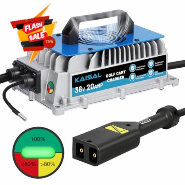 Golf Cart Charger 36 Volt EZGO 20AMP 1250W EZGO Golf Cart Battery Charger 36V 20A for EZGO TXT D-Plug