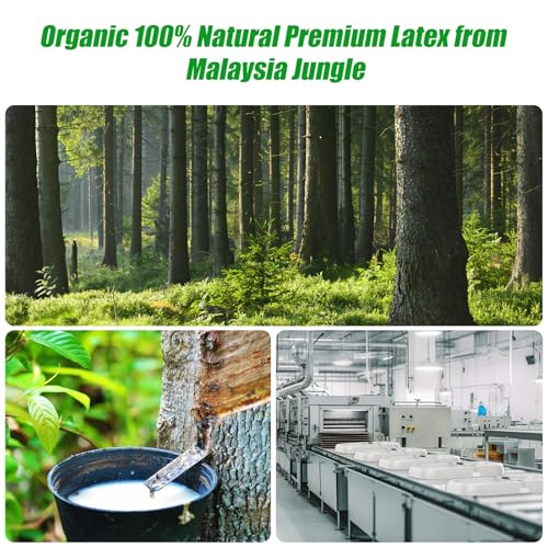 Organic 100% Natural Premium Latex from Malaysia Jungle