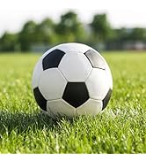 Amazing Tour Football Goal Net Pegs, U-Shaped Galvanised Steel Metal 4mm Steel Pegs To Goal Net