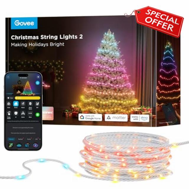 Govee Christmas Lights 2