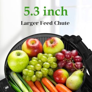 350W Masticating Juicer with 5.3" Extra Large Feed Chute