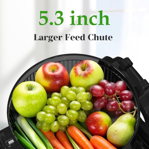 350W Masticating Juicer with 5.3" Extra Large Feed Chute