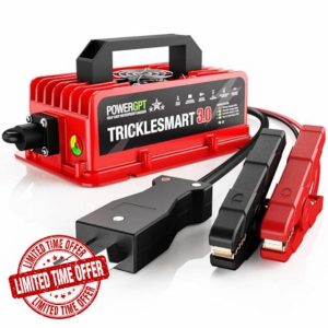 36V Golf Cart Battery Charger for Club Car EZGO Yamaha with Crowfoot Plug