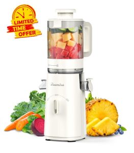 Cold Press Juicer